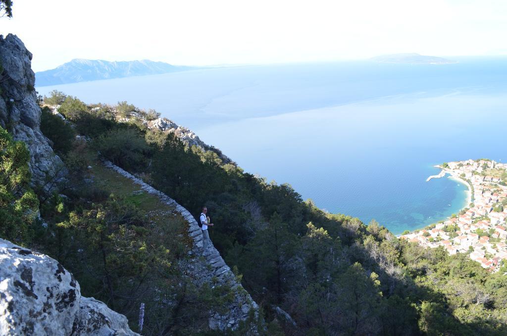 Apartments Palma Gradac  Εξωτερικό φωτογραφία