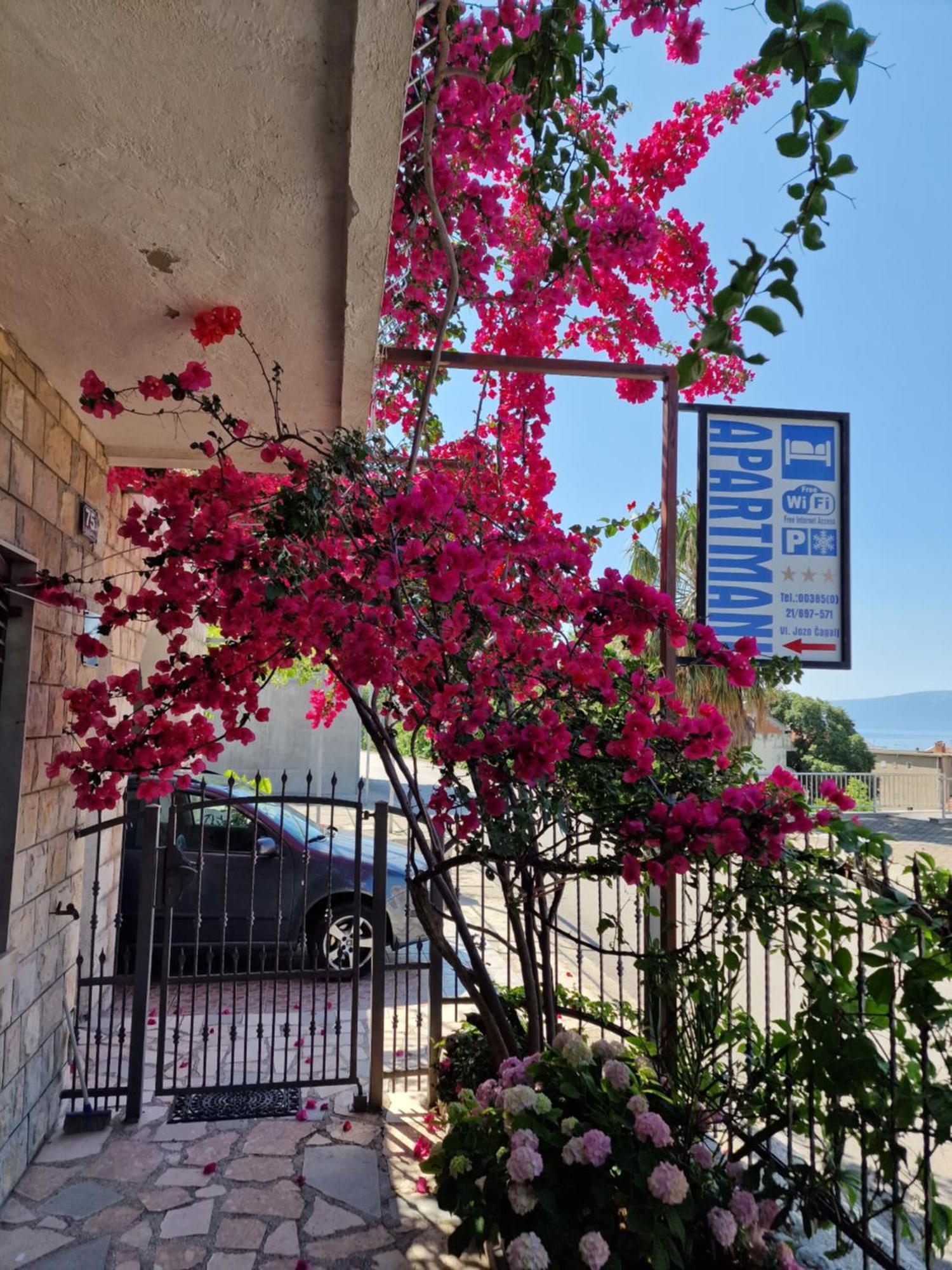 Apartments Palma Gradac  Εξωτερικό φωτογραφία