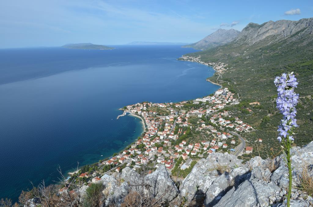Apartments Palma Gradac  Δωμάτιο φωτογραφία